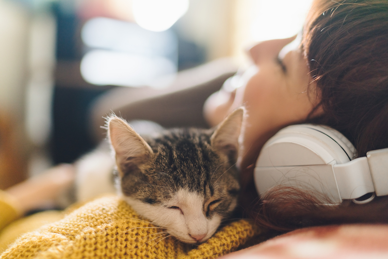 A cat naps on a woman's shoulder. 