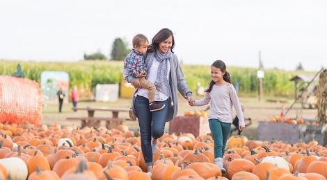 Family trip through a pumpkin patch.